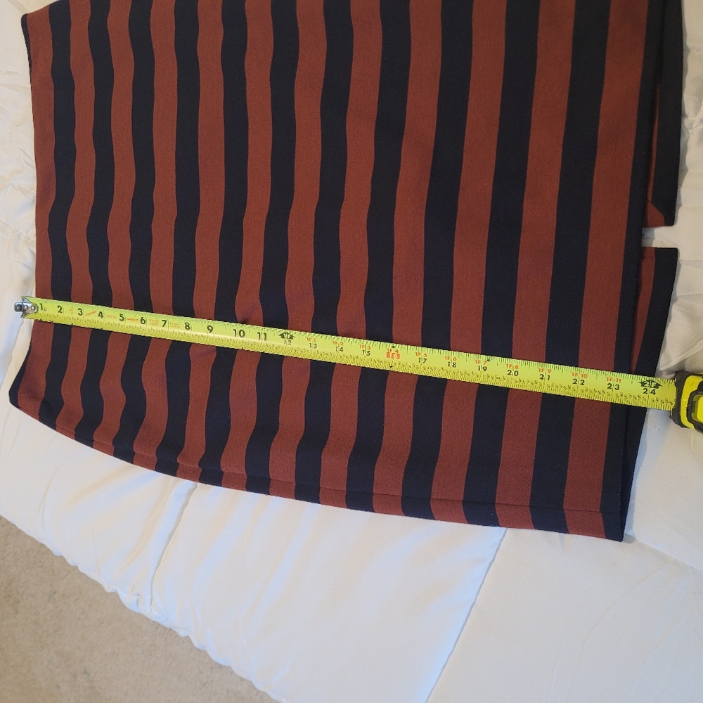 The Limited brown and blue striped skirt. - Picture 7 of 10